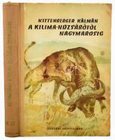 Kittenberger Kálmán: A Kilimandzsárótóól Nagymarosig. Első kiadás! 1956, Ifjúsági Könyvkiadó. Félvászon kötés, kopottas állapotban.