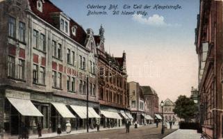 Bohumín main street (b)