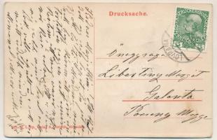 Abbazia, Opatija; Blick auf Lovrana / leporellólap 10 képpel / leporellocard with 10 pictures. W.L. ...