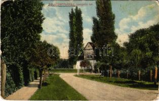 1918 Balatonföldvár, Igazgatói lak (EK)