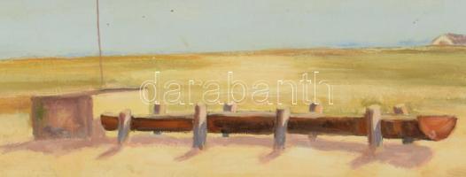 RGY jelzéssel: Nyár. Olaj, farost. Apró felületi sérüléssel. 60x80 cm