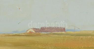 RGY jelzéssel: Nyár. Olaj, farost. Apró felületi sérüléssel. 60x80 cm