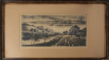 Kórusz József (1927-2010): Ősz (Duna gőzössel). Rézkarc, papír, jelzett. Üvegezett, sérült fakeretbe...