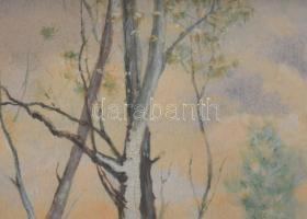 Jelzés nélkül, XIX. sz. vége/XX. sz. eleje: Tehénpásztorlány. Akvarell, papír. Dekoratív, üvegezett,...