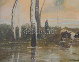 Jelzés nélkül, XIX. sz. vége/XX. sz. eleje: Tehénpásztorlány. Akvarell, papír. Dekoratív, üvegezett,...