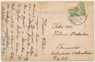 1914 Buziásfürdő, Baile Buzias; Szent Antal tó. Francz József kiadása, montázs gyerekekkel / lake. M...