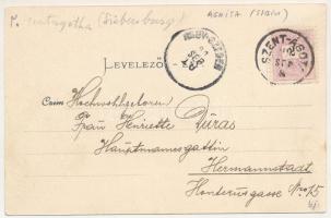 1899 Szentágota, Agnetheln, Agnita; Hotel Agnetha, Agnetheln v. d. Steinburg, Sägewerk, Mittelgasse ...