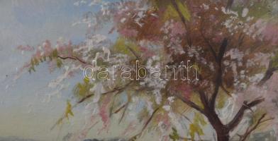 Olvashatatlan (Harn?) jelzéssel: Virágzó fa. Olaj, karton. Dekoratív, üvegezett fakeretben, 12,5x18 ...
