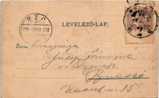 1900 Arad, vártemplom, vár kapuja / castle church, castle gate (vágott / cut)