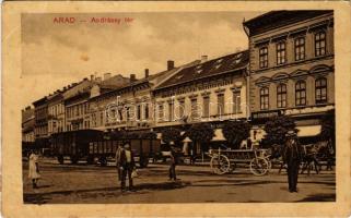 Arad, Andrássy tér, Andrényi Károly és Fiai, Schwarz Simon Fiai és Társa, Roth üzlete, Úri Fehérneműek / square, shops (vágott / cut)