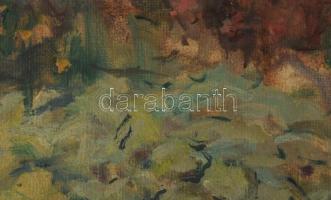 Gergely Imre (1868-1957): Virágok közt. Olaj, vászon. Jelezve balra lent. Dekoratív, kissé sérült fa...