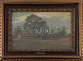 Nádler Róbert (1858-1938): Lajosszállás (Nagymágocs, Alföld). Olaj, vászon, kartonon. Jelezve balra lent. Dekoratív, üvegezett, kissé sérült fakeretben. 26,5×42 cm.