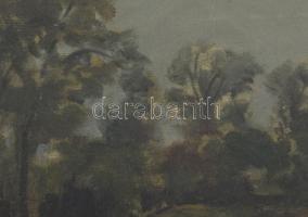 Nádler Róbert (1858-1938): Lajosszállás (Nagymágocs, Alföld). Olaj, vászon, kartonon. Jelezve balra ...