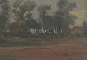 Nádler Róbert (1858-1938): Lajosszállás (Nagymágocs, Alföld). Olaj, vászon, kartonon. Jelezve balra ...