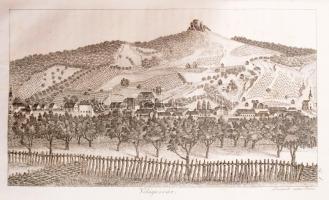 Fábián Gábor: Arad vármegye' leirása históriai, geographiai és statistikai tekintetben. I. rész...