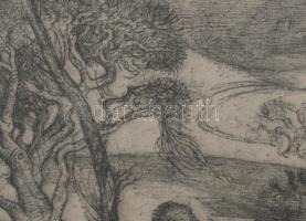 Szabó Vladimír (1905-1991): Disznóölés. Rézkarc, papír, jelzett, lap széle kissé foltos, üvegezett f...