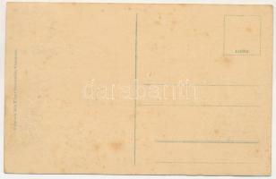 Temesvár, Timisoara; Ferenc József liget részlet. Polatsek-féle könyvkereskedés kiadása / park (fl)