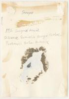 1936 Snagov, a román labdarúgó-válogatott tagjai a Snagovi-tónál, csapat, sport, focisták / Romanian...