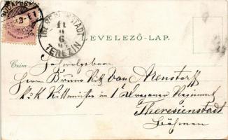 1895 Budapest I. Királyi vár és várbazár, Lánchíd, gőzhajó. O.Z.M. Art Nouveau, floral, litho (EK)