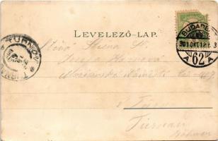 1901 Budapest I., Királyi várpalota, Tabán, Lánchíd, gőzhajók. Ottmar Zieher Art Nouveau, litho (r)