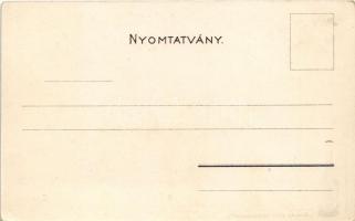 Budapest XIV. Műcsarnok, Brázay-féle sósborszesz reklám. Bruchsteiner és fia Art Nouveau, litho (EK)