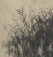 Kórusz József (1927-2010): Dunapart. Rézkarc, papír, jelzett, lapszéli apró foltokkal, üvegezett fak...