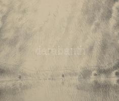 Kórusz József (1927-2010): Dunapart. Rézkarc, papír, jelzett, lapszéli apró foltokkal, üvegezett fak...