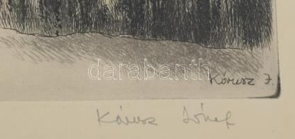 Kórusz József (1927-2010): Dunapart. Rézkarc, papír, jelzett, lapszéli apró foltokkal, üvegezett fak...