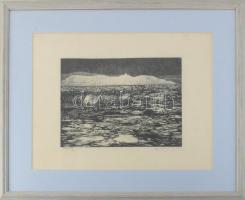 Simon Zoltán (1950-): Tihany. Rézkarc, papír, jelzett, 19×26 cm, lapszéli néhány kevés apró folttal,...