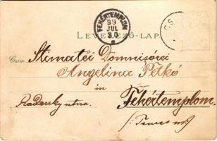 1899 Kisbér, Wenckheim emlék, Római katolikus templom, Kozma emlékmű, Pokol-domb, Törzsmén istálló. ...