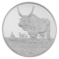 2002. 3000Ft Ag "Hortobágyi Nemzeti Park" kapszulában, tanúsítvánnyal (31,46g/0,925/38,61m...