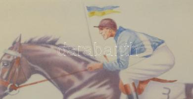 Damaszkin jelzéssel: Lóverseny. Vegyes technika, papír. Üvegezett fakeretben. 22x30 cm