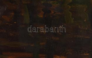 Olvashatatlan jelzéssel, Edouard Gelhay után, XX. sz. eleje: Tükröződés. Olaj, karton. Dekoratív, sé...