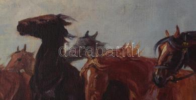 Kolozsváry Endre (1901-?): Lovak és csikós. Olaj, vászon, jelzett. Dekoratív, sérült fakeretben, 60×...