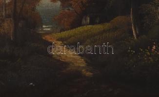 Olvashatatlan jelzéssel, XIX. sz.vége/XX. sz. eleje: Vízparti táj. Olaj, vászon. Sérült. Dekoratív, ...