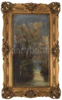 Olvashatatlan jelzéssel, XIX. sz.vége/XX. sz. eleje: Vízparti táj. Olaj, vászon. Javított. Sérült. Dekoratív, kissé sérült fakeretben, 63×32 cm