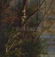 Olvashatatlan jelzéssel, XIX. sz.vége/XX. sz. eleje: Vízparti táj. Olaj, vászon. Javított. Sérült. D...