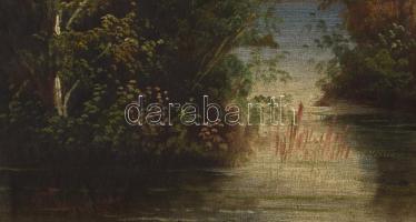 Olvashatatlan jelzéssel, XIX. sz.vége/XX. sz. eleje: Vízparti táj. Olaj, vászon. Javított. Sérült. D...