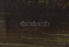 Olvashatatlan jelzéssel, XIX. sz.vége/XX. sz. eleje: Vízparti táj. Olaj, vászon. Javított. Sérült. D...