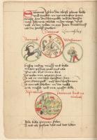 (Medizinisch-Astrologisches Volkskalender.) [15. század második végéről származó, német nyelvű, illu...