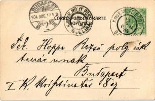 1904 Sarajevo, J. Studnicka &amp; Co. / street view, mosque (EK)