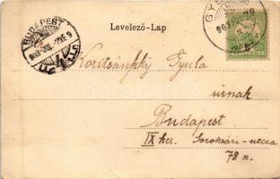 1903 Zólyom, Zvolen; látkép. Kiadó özv. Lőwy Sámuelné / general view (kis szakadás / small tear)