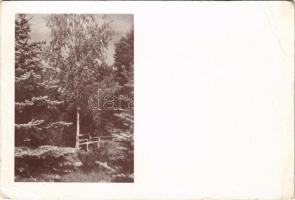 1944 Balatonkenese, Székesfővárosi üdülőhely (fa)