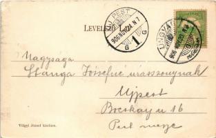 1906 Ungvár, Uzshorod, Uzhhorod, Uzhorod; Görögkatolikus papi árvalány intézet, árvaház. Völgyi Józs...