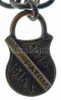 1915 k. "Pro Patria 1914-1915" lakat alakú bronz plakett Fe láncon (20x16mm) T:AU
Hungary...