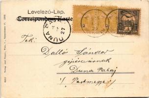 1905 Sopron, Erzsébet utca. Josef Popper kiadása (EK)