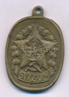 Csehszlovákia 1950 k. "SVAZARM / Celostátní Spartakiáda (Nemzeti Szpartakiád)" bronz díjér...