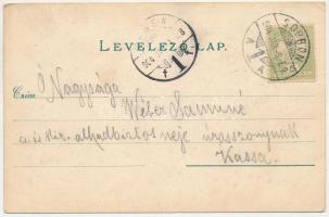 1904 Sopron, Pannonia szálloda és Magyar király szálloda, villamos, Dürböck szobafestő Torna utcai ü...