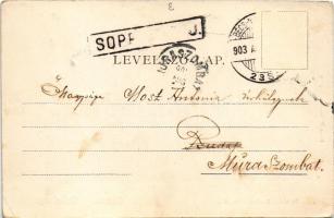 1903 Sopron, Széchenyi tér. Blum N. kiadása (lyuk / pinhole)