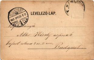 1901 Sopron, látkép, Max Gellis, Müller F., Karner Mátyás üzlete. L. Kummert kiadása (gyűrődések / c...